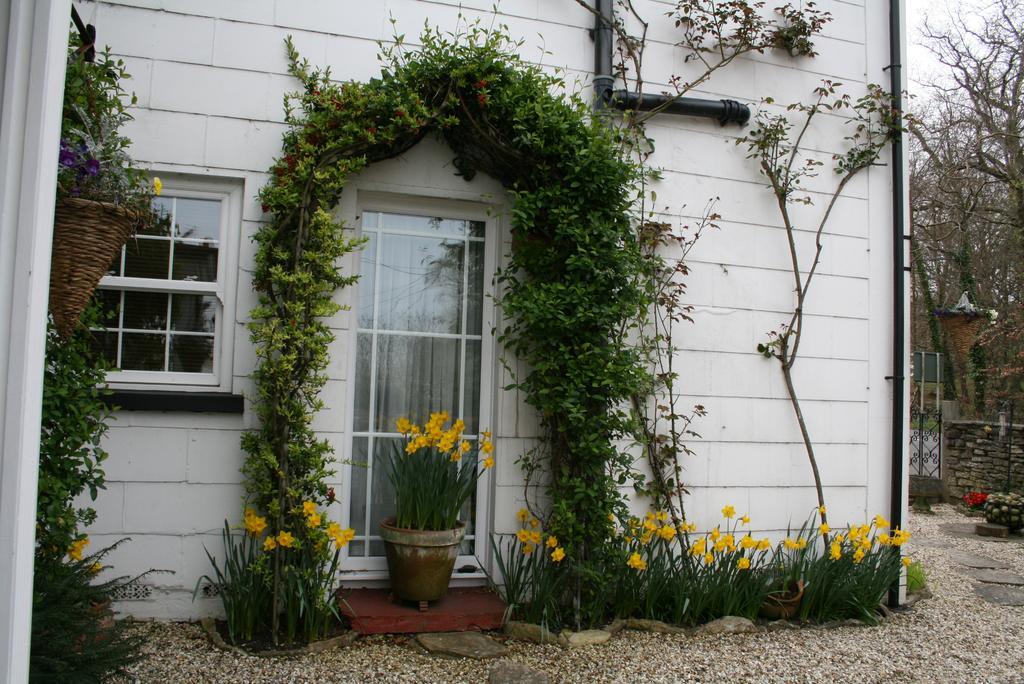 لِندهورْسٍتْ Clayhill House Bed & Breakfast المظهر الخارجي الصورة